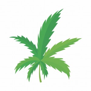 Marijuana leaf icon, cartoon style